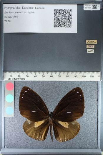 Media type: image;   Entomology 160621